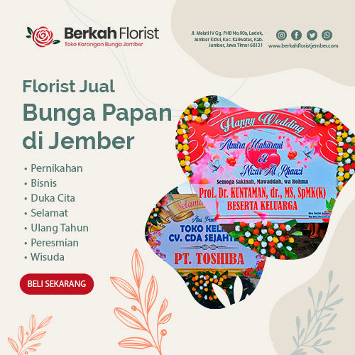 Jual Bunga Papan Jember